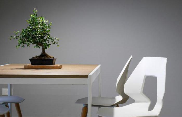 Lorem ipsum dolor